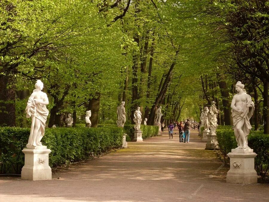 Летний сад сейчас фото Летний сад - самый первый сад в Петерурге!. Инна Евтушенко