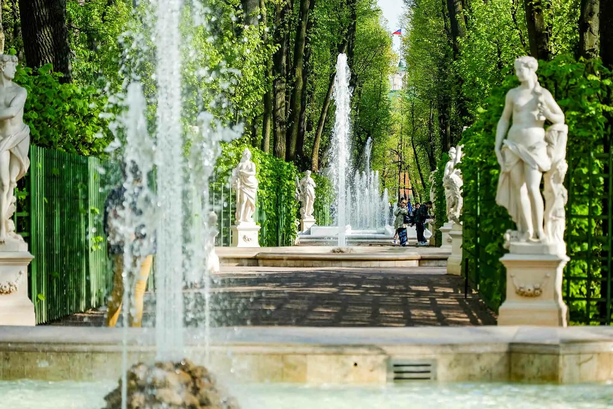 Летний сад спб фото Фото Санкт-Петербурга 2024: лучшие снимки города и его достопримечательностей от