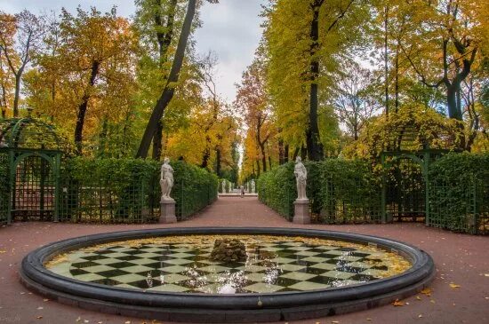 Летний сад спб фото Осень в Летнем саду - Picture of The Summer Garden, St. Petersburg - Tripadvisor