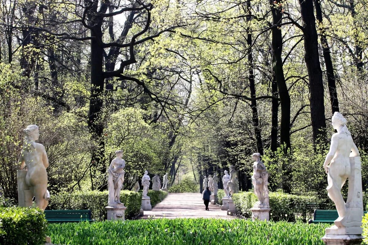 Летний сад в санкт петербурге фото Индивидуальная экскурсия в Летний сад