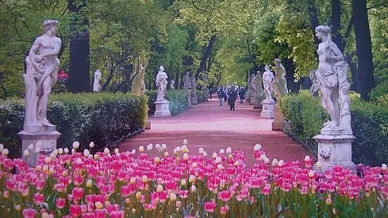 Летний сад в санкт петербурге фото летом Day Of The City In Saint Petersburg! Summer garden, St petersburg russia, Peters