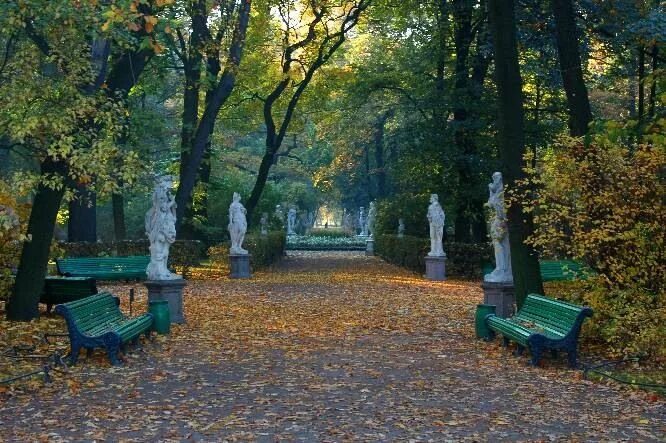 Летний сад в санкт петербурге осенью фото Saint Petersburg Санкт-Петербург (Russia) Элементы искусства, Цветы на холсте, С