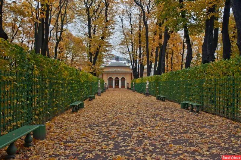 Летний сад в санкт петербурге осенью фото Петербургский парк