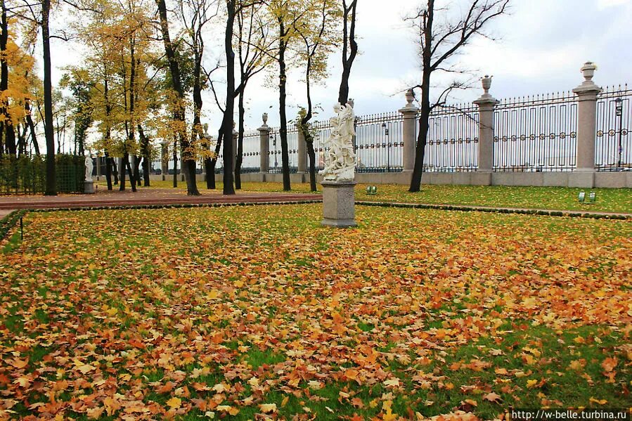 Летний сад в санкт петербурге осенью фото Фотографии Санкт-Петербурга от путешественников и туристов