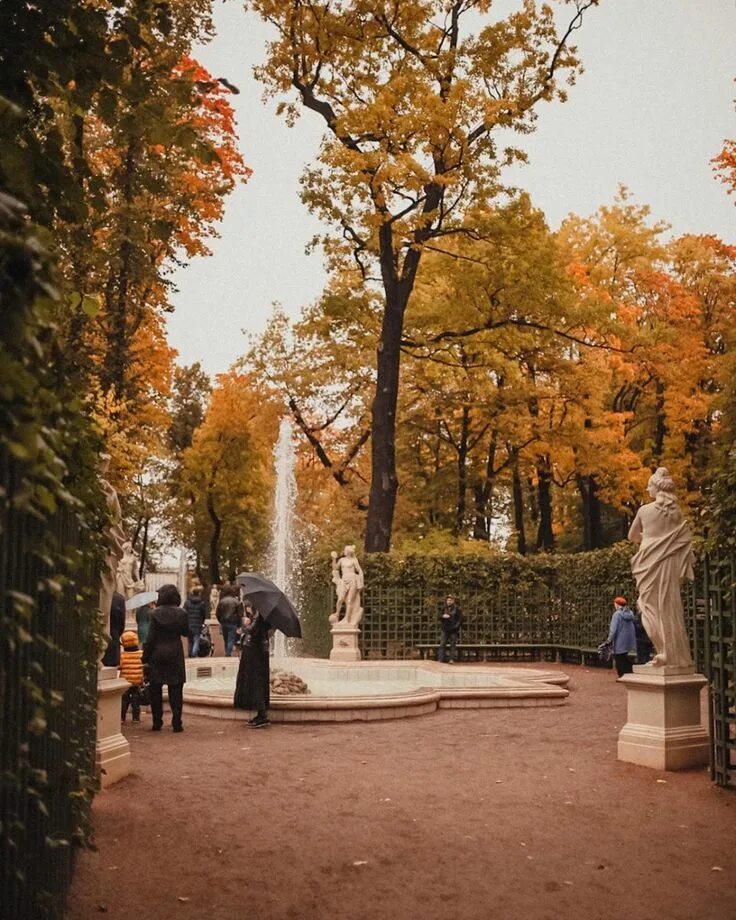 Летний сад в санкт петербурге осенью фото Valeria Konovalova Фотограф (@konovalovalery) * Фото и видео в Instagram Landsca