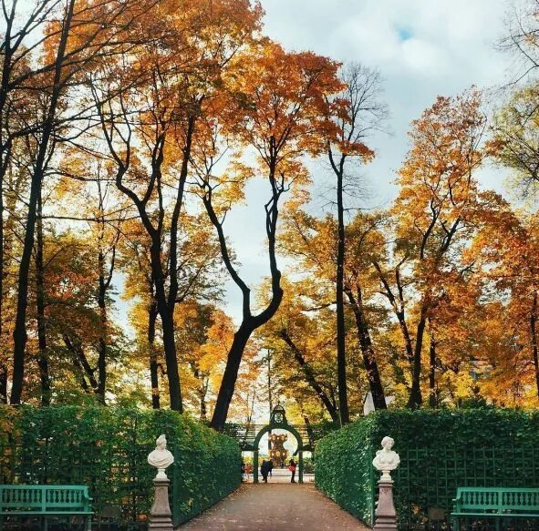 Летний сад в санкт петербурге осенью фото Санкт-Петербург, Летний сад, осень Санкт петербург, Город, Пейзажи