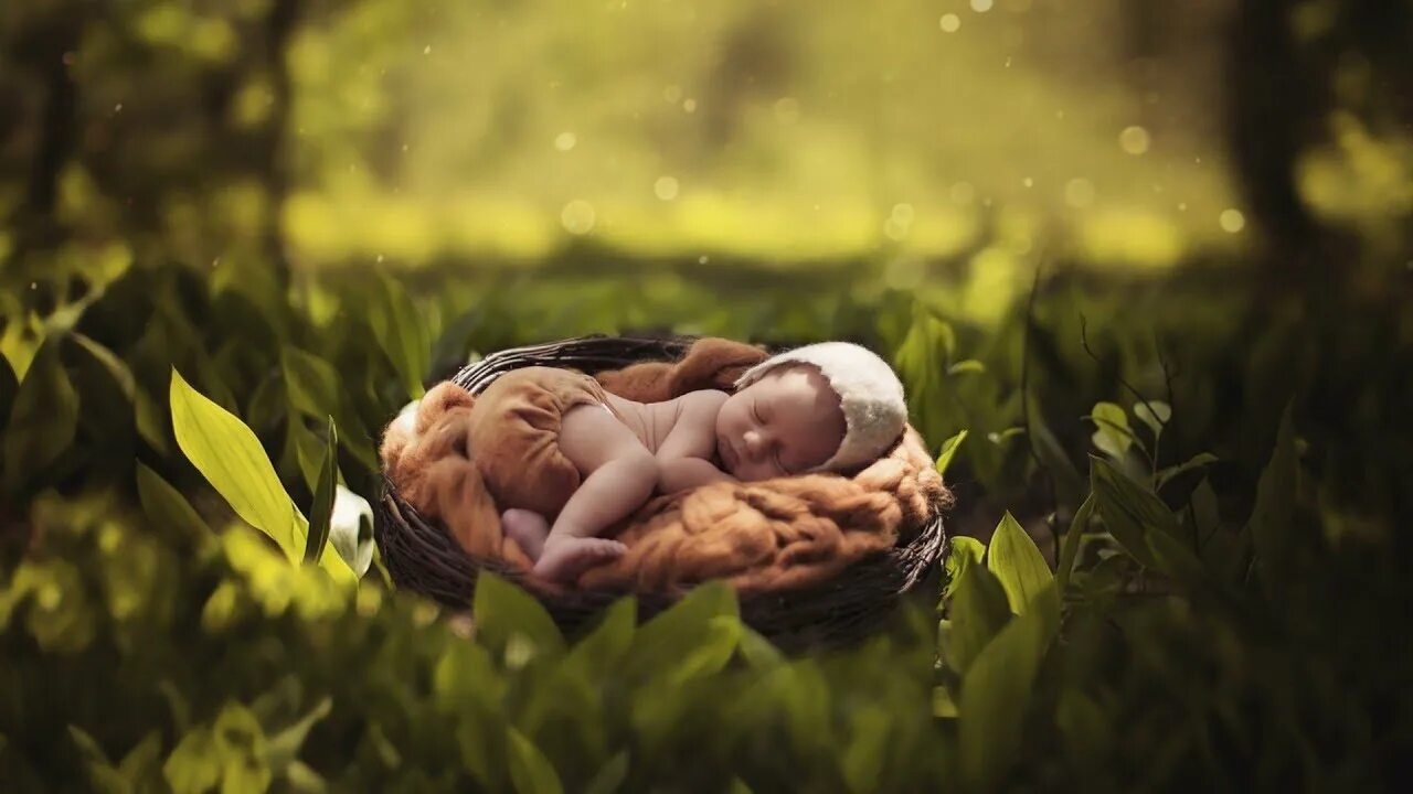 Летний сон фото 2 Hours Beautiful Relaxing Music for Stress Relief - Calming Music for Meditatio