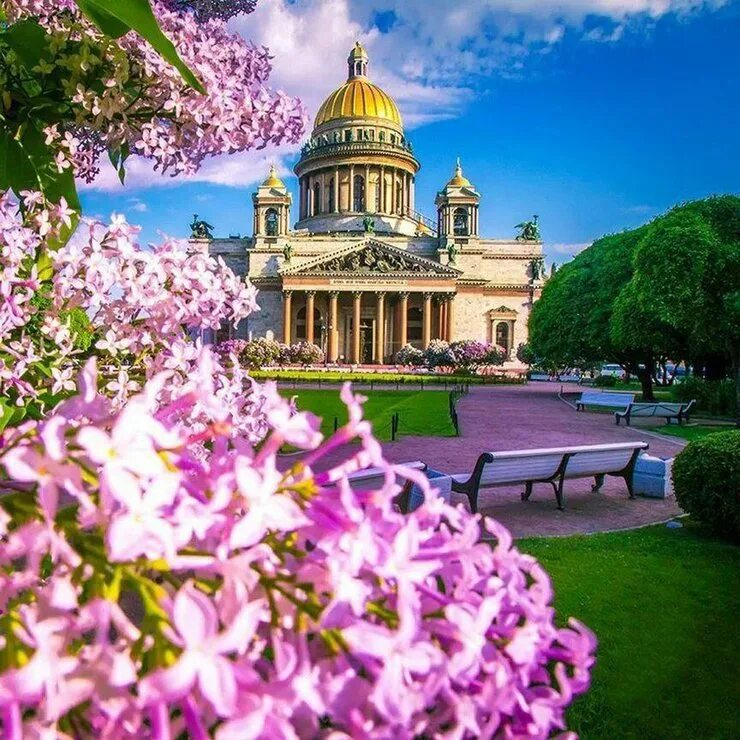 Летний спб фото Санкт-Петербург, город, который оживает летом и наполняет вас свежими эмоциями! 