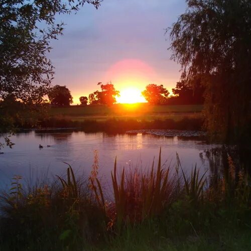 Летний вечер фото Listen to Summer Evening Improvisation /for uncompressed quality check download 