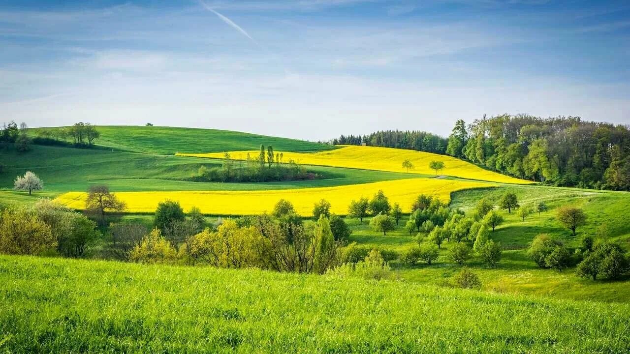 Летний вид фото Картина на холсте 60x110 Альянс Лес "Небо луга поля деревья трава" на подрамнике