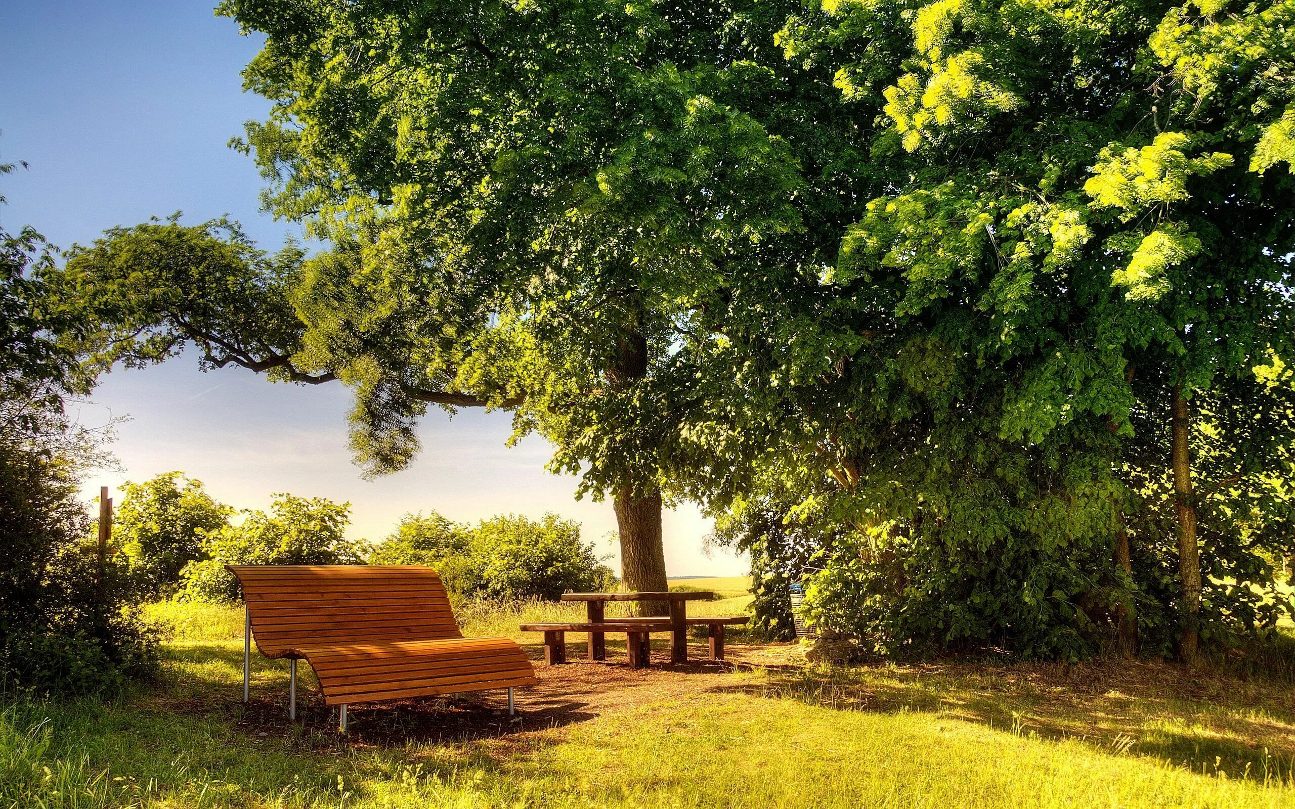 Летний вид фото Sunny Day Desktop Background Sunny pictures, Sunny day images, Beautiful flowers
