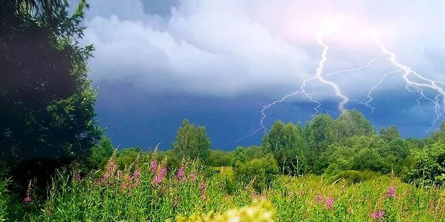 Летняя гроза фото В Омск возвращаются грозы - KVnews.ru