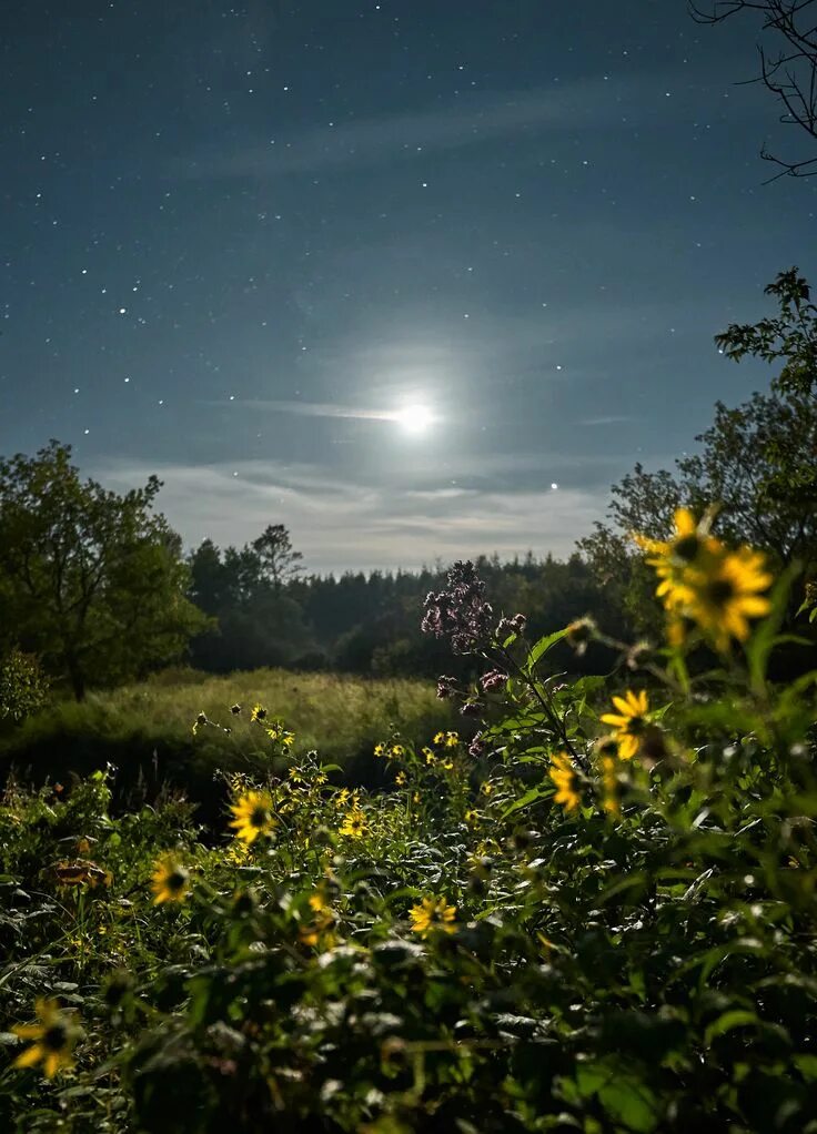 Летняя ночь фото Spiked moon's universal release of knowledge. Late summer night in Wisconsin. OC