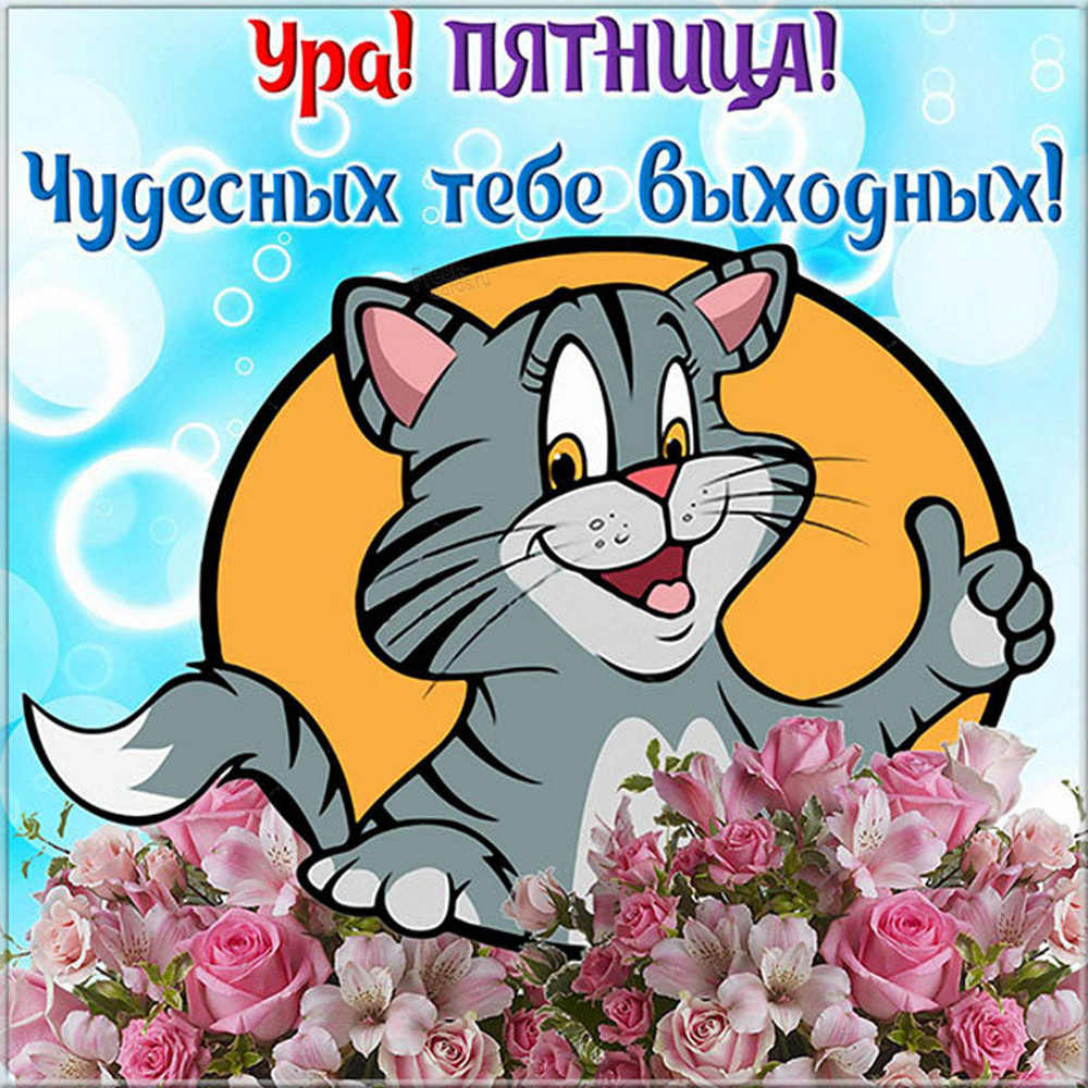 Летняя пятница картинки с пожеланиями красивые Прикольные открытки и красивые картинки с пятницей Postcard, Fictional character