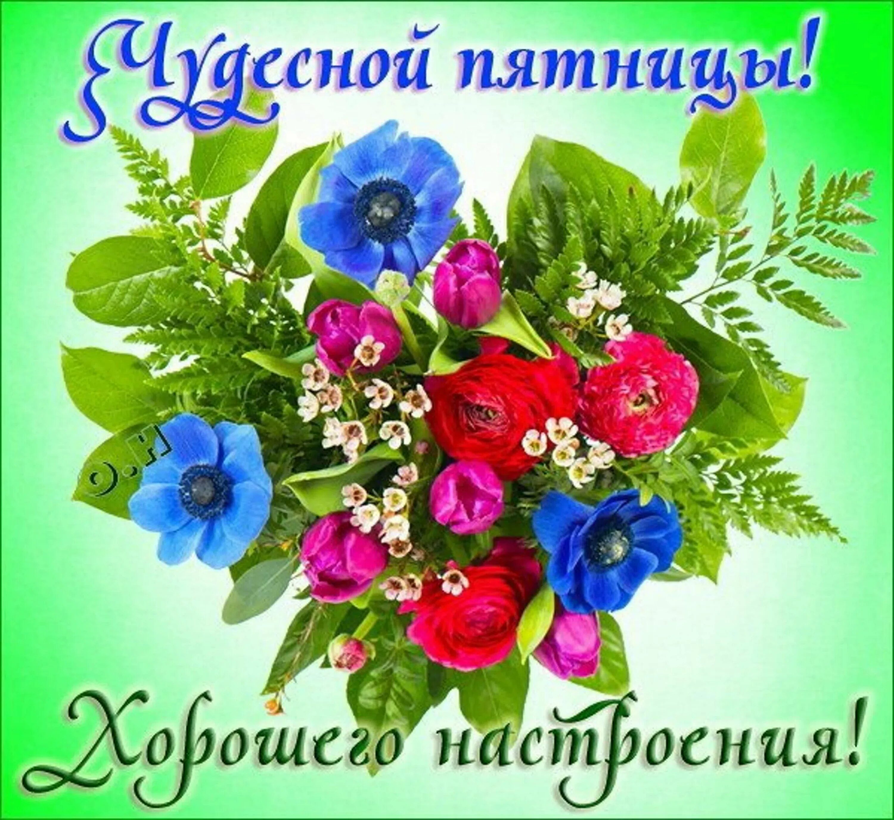 Летняя пятница картинки с пожеланиями красивые Замечательного дня пятницы картинки