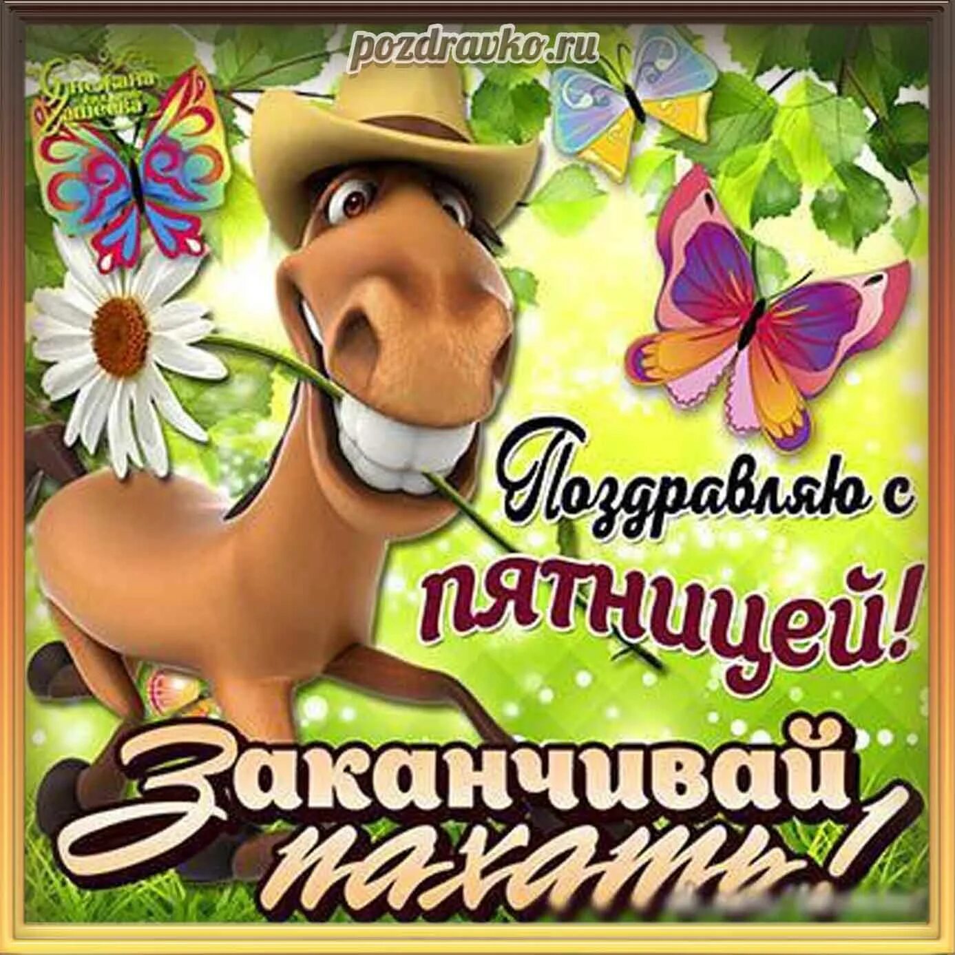 Летняя пятница картинки с пожеланиями красивые Картинки пятница скачать бесплатно - С пятницей! sushimag.com.ua