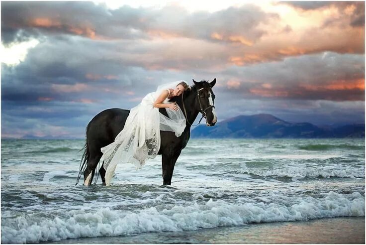 Лошади море фото Kirsty & Mathius at sunset. in 2024 Beautiful horses, Horses, Horse photography 