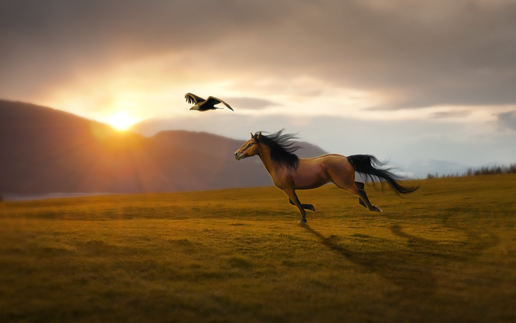 Лошади на бегу фото Free Spirit Spirit the horse, Spirit horse movie, Beautiful horses