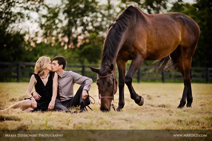 Лошади парами фото Engagement photo including her horse Engagement photos country, Horse engagement