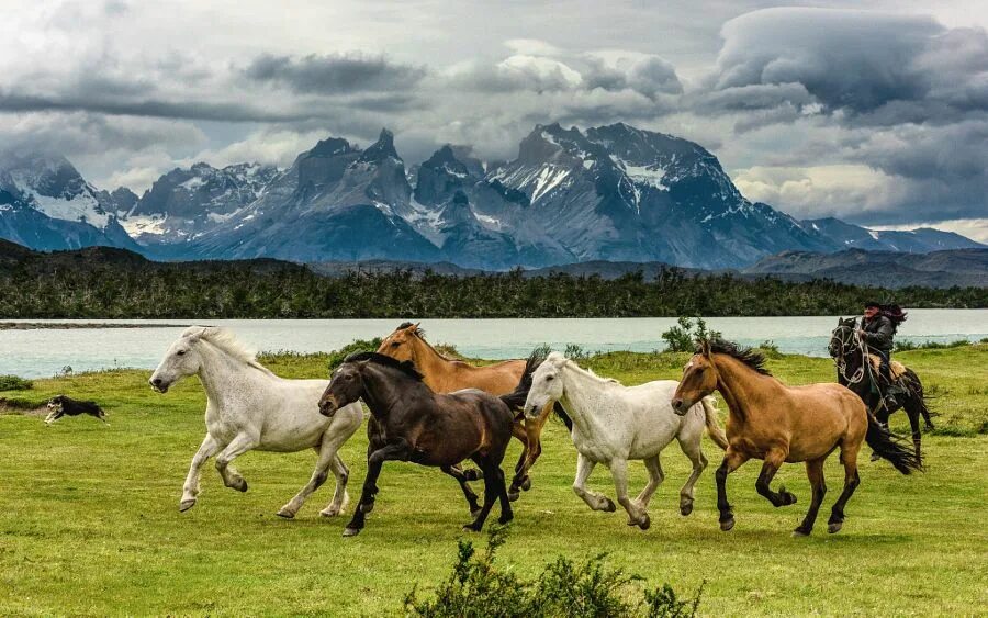 Лошади россии фото 13 Beautiful Photos to Make You Wonder Why You Haven’t Visited Chile Yet Beautif