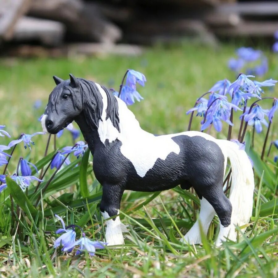 Лошади schleich фото на природе красивые Сандра Захарова - YouTube