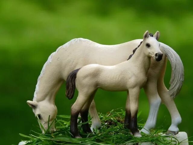 Лошади schleich фото на природе красивые Pin on Idée épingle Shleich Cute animal drawings, Bryer horses, Pretty horses