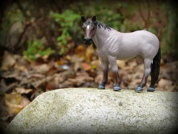 Лошади schleich фото на природе красивые DeviantArt: More Like Rock Me - The Schleich Knabstrupper Foal by HorseFreak2000