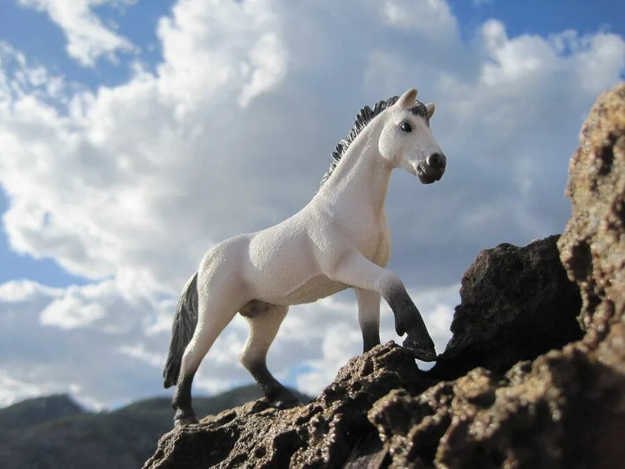 Лошади schleich фото на природе красивые realistic schleich horse pictures - Google Search Horse pictures, Horses, Horse 