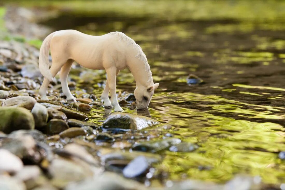 Лошади schleich фото на природе красивые Pin by Brian Billingsly on Brooke’s Schleich diy Diy horse barn, Pretty horses, 