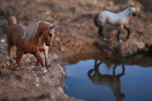 Лошади schleich фото на природе красивые Pin on Schleich Horses, Schleich, Horse photos