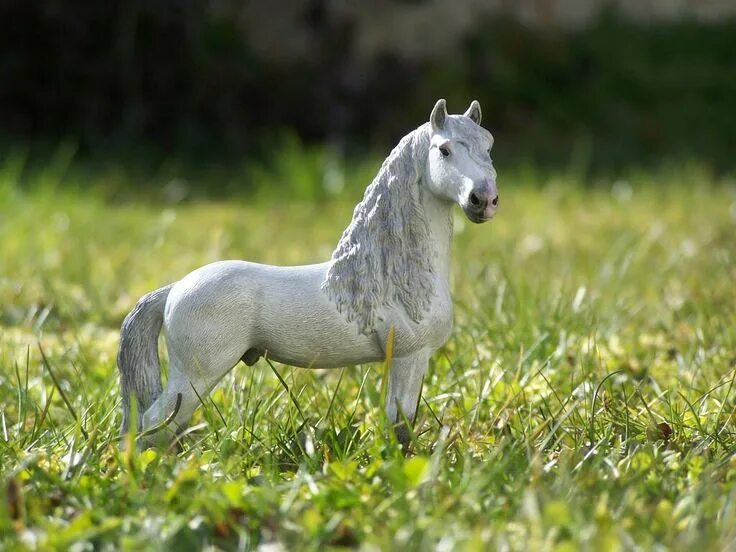 Лошади schleich фото на природе красивые Custom de l'étalon frison schleich en gris réalisé par @harasdesplaines sur Inst