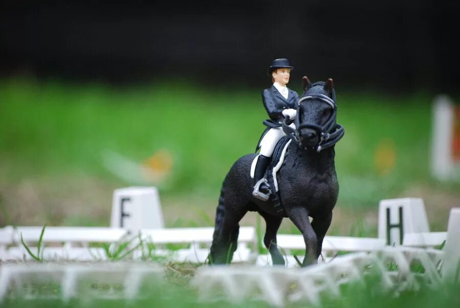 Лошади schleich фото на природе красивые schleich horse Horses, Schleich, Horse barns