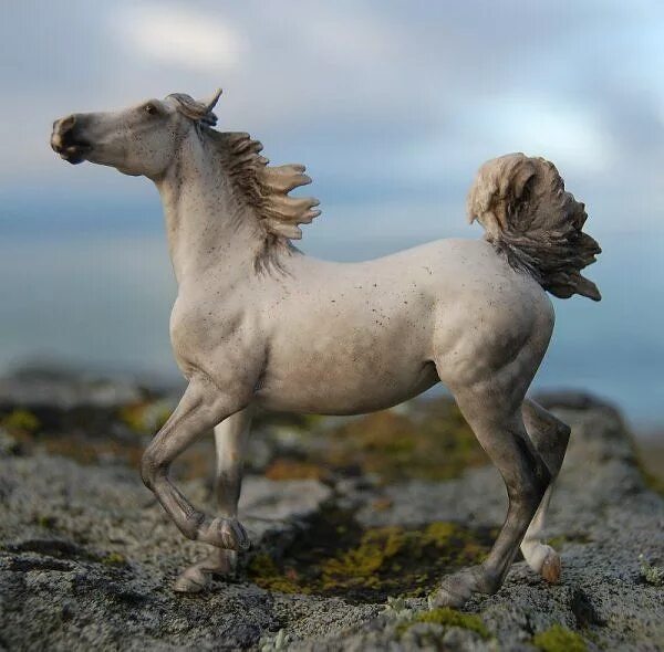 Лошади schleich фото на природе красивые This is one of the best ones I have ever seen. Show horses, Horses, Beautiful ho