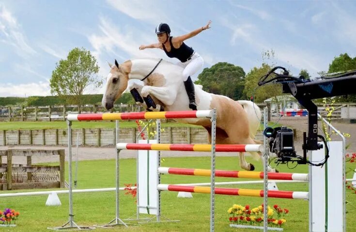 Лошади спорт фото maxresdefault Show jumping horses, Horses, Horse jumping