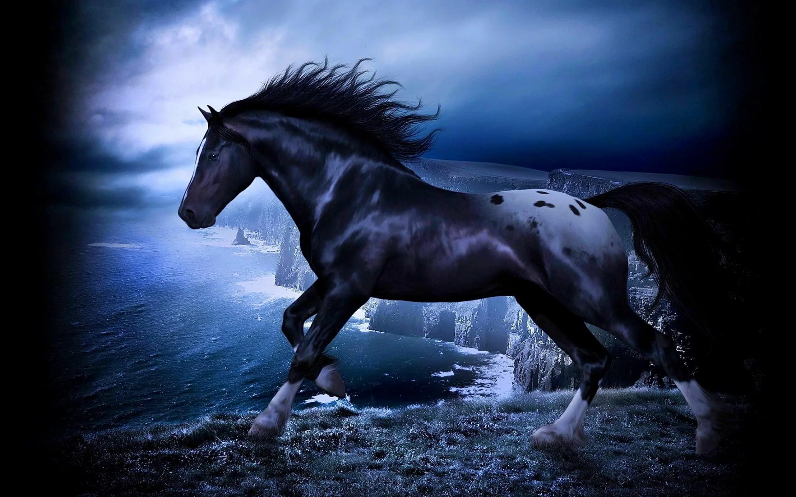 Лошади темные фото 30 Backgrounds In High Quality - Friesian Horse by Landon Corbally Horse wallpap