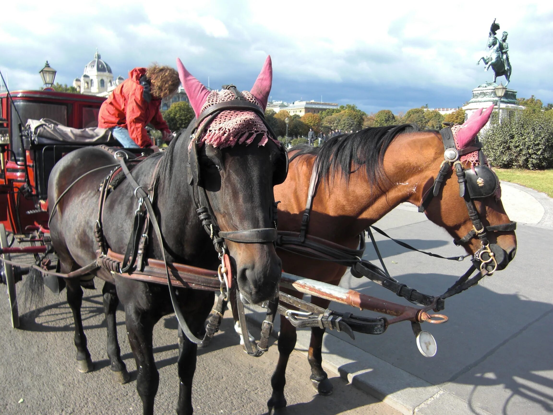 Лошади упряжные фото Horse carriage in a park in Vienna free image download