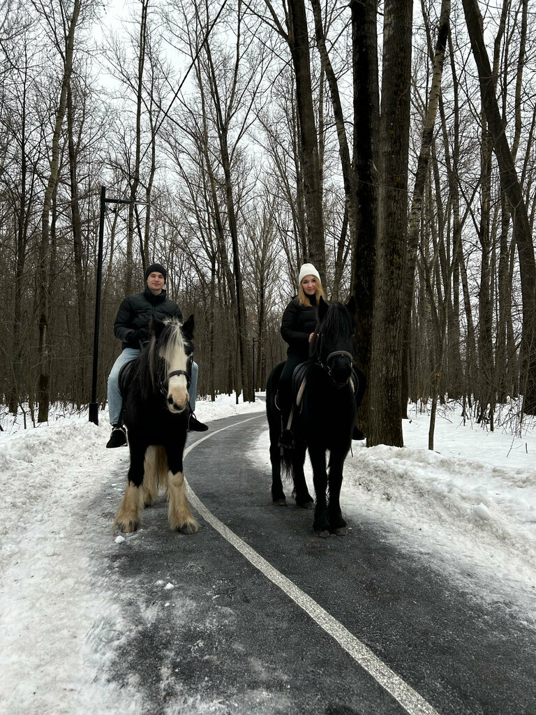 Лошадкин парк 38 уфа фото Loshadkin park, horse riding, Ufa, SNT Neftyanik-13, 38 - Yandex Maps