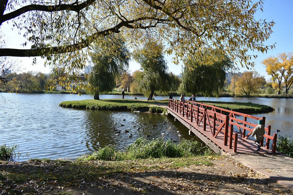 Лошицкий парк в минске фото Осень в парке :: Надежда Буранова - Социальная сеть ФотоКто