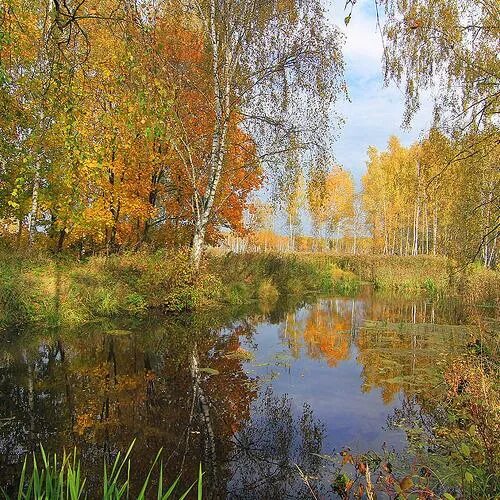 Лосиный остров осенью фото Фотографии снятые на "Canon EOS 7D" вместе с "Tokina AF 12-24MM f/4 AT-X Pro for