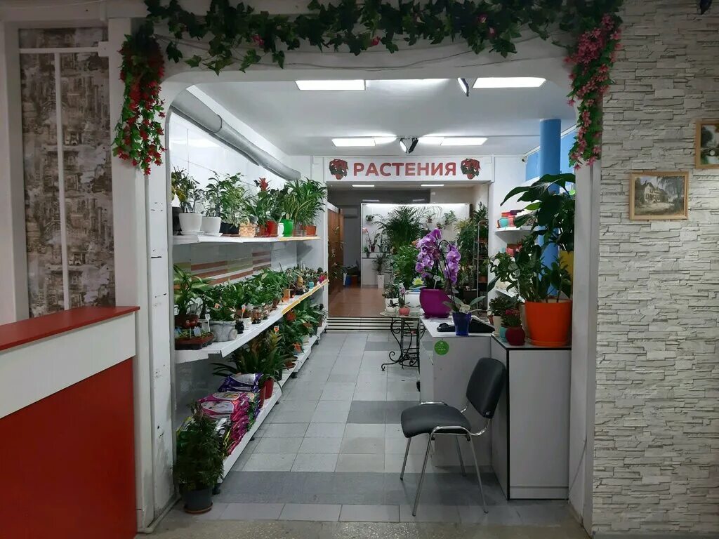 Лоскут ул роз 67а микрорайон центральный фото Permanently closed: Растения, flower shop, Krasnodar Territory, Sochi, Tsentraln