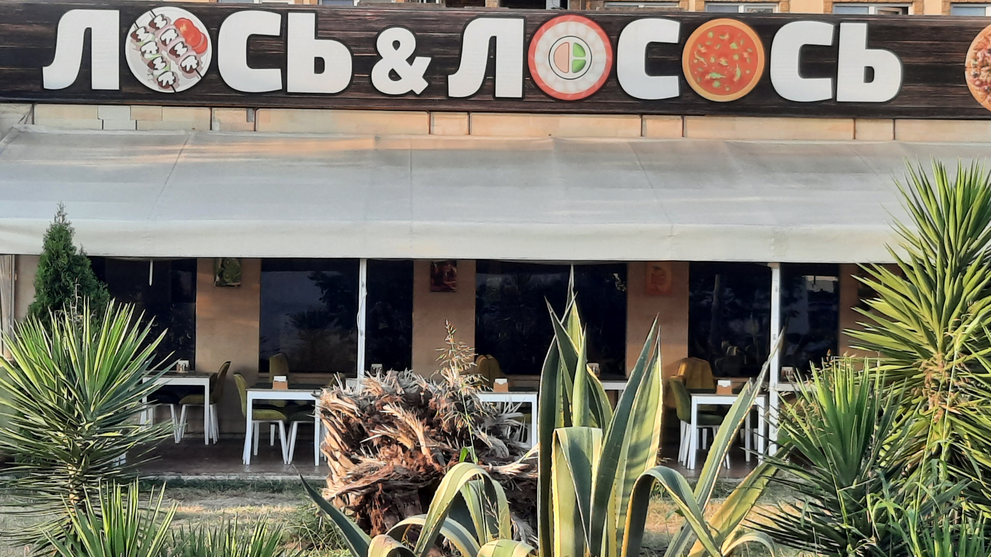 Лосьлосось субтропическая ул 2 сочи фото Отзывы о "ЛосьЛосось", Краснодарский край, Сочи, Субтропическая улица, 2 - стран
