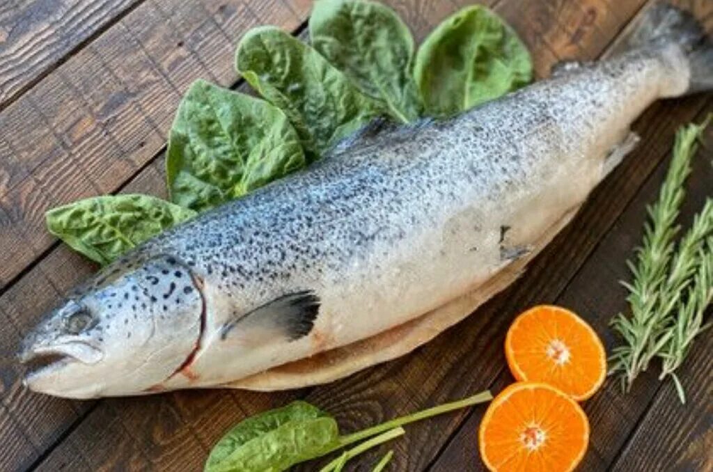 Лосось фото рыбы с головой как выглядит Моредома, рыба и морепродукты, ул. Качинцев, 81Д, Волгоград - Яндекс Карты