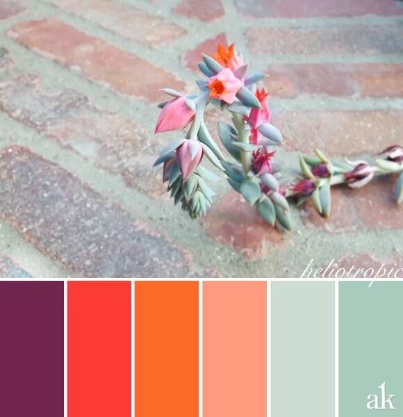 Лососевый цвет с чем сочетается в интерьере a summer-succulent-inspired color palette // purple, strawberry, tangerine, icy 