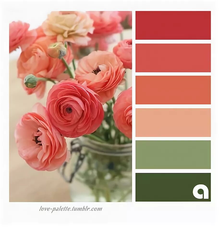 Лососевый цвет с чем сочетается в интерьере Beautiful Coral and Green Color Palette Ideas