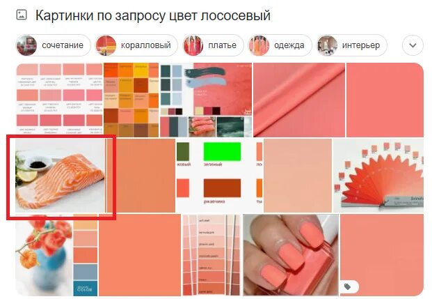 Лососевый цвет с чем сочетается в интерьере Лососевый цвет это какой фото, видео - 38rosta.ru