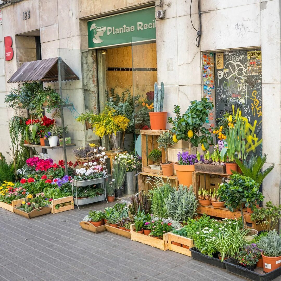 Магазин цветов фото Fachada de Loja Flores, Floristería, Centros de flores
