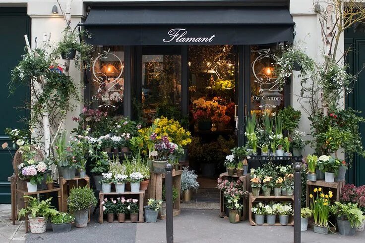Магазин цветов название фото Paris Photography, Left Bank Flower Shop, Paris Bathroom Art, Rebecca Plotnick, 
