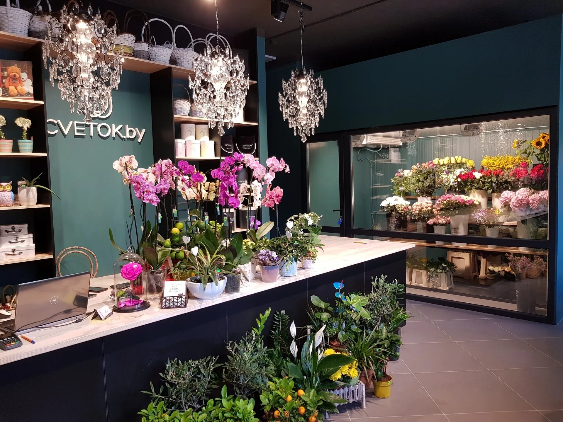 Магазин цветов название фото Florist harrison arkansas - Flower Магазин Цветов.