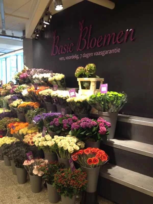 Магазин цветов название фото More pretties from Holland Flower shop decor, Flower shop design, Flower shop di