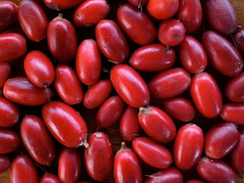 Магический фрукт фото RARE Miracle fruit seeds Miracle berry Synsepalum Etsy